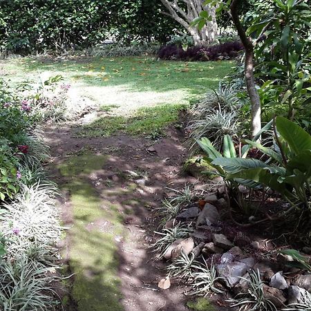 Hotel Las Orquideas Monteverde 외부 사진