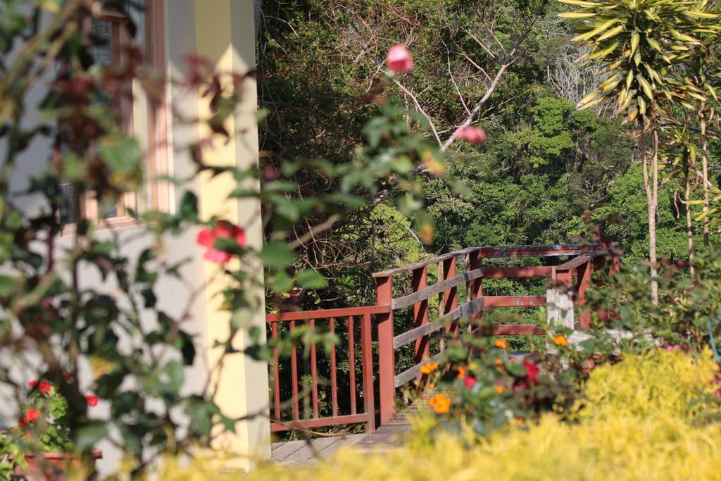 Hotel Las Orquideas Monteverde 외부 사진
